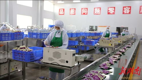 武岡科技小院 科技創(chuàng)新賦能特色產(chǎn)業(yè)，引領(lǐng)農(nóng)民增收致富