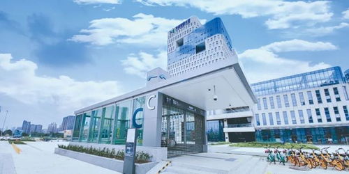 解鎖新去處｜這些旅游服務上榜，有你家嗎？